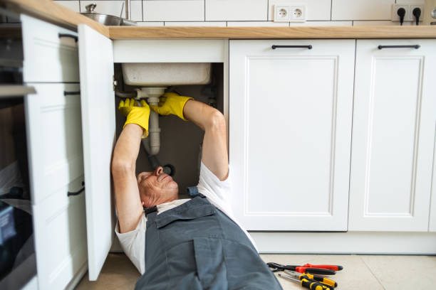 Best Same-Day Plumbing Service  in Willow Oak, FL