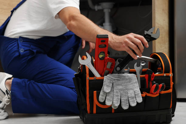 Best Plumbing Inspection Services  in Willow Oak, FL